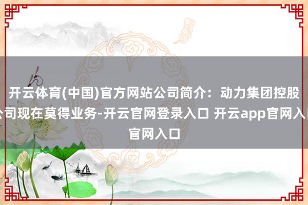 开云体育(中国)官方网站公司简介：动力集团控股公司现在莫得业务-开云官网登录入口 开云app官网入口