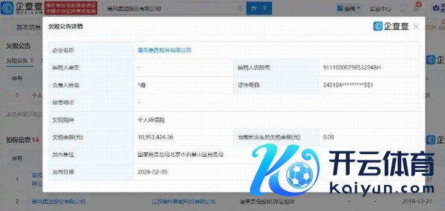 狂风集团欠税1095万再曝债务危急 未履行债务已超8亿