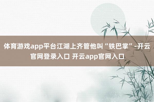 体育游戏app平台江湖上齐管他叫“铁巴掌”-开云官网登录入口 开云app官网入口