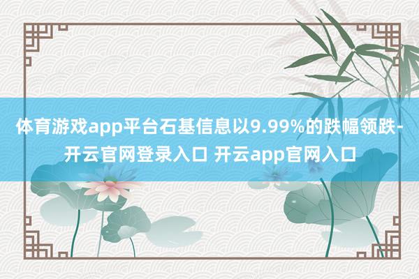 体育游戏app平台石基信息以9.99%的跌幅领跌-开云官网登录入口 开云app官网入口
