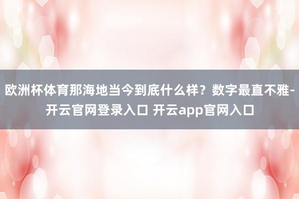欧洲杯体育那海地当今到底什么样?数字最直不雅-开云官网登录入口 开云app官网入口