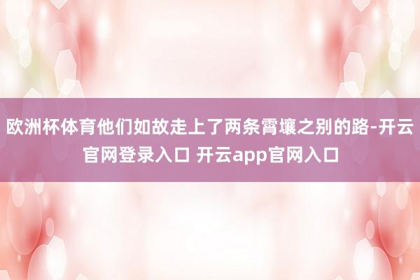 欧洲杯体育他们如故走上了两条霄壤之别的路-开云官网登录入口 开云app官网入口