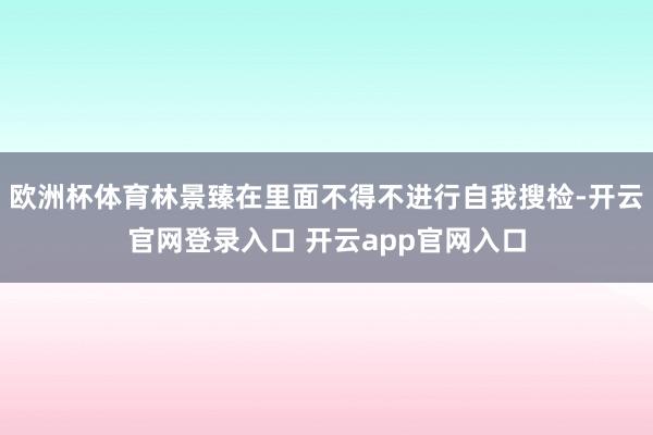 欧洲杯体育林景臻在里面不得不进行自我搜检-开云官网登录入口 开云app官网入口