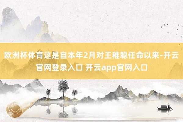 欧洲杯体育这是自本年2月对王稚聪任命以来-开云官网登录入口 开云app官网入口