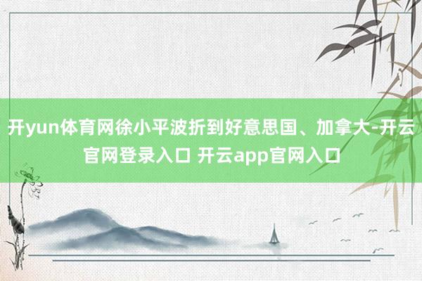 开yun体育网徐小平波折到好意思国、加拿大-开云官网登录入口 开云app官网入口